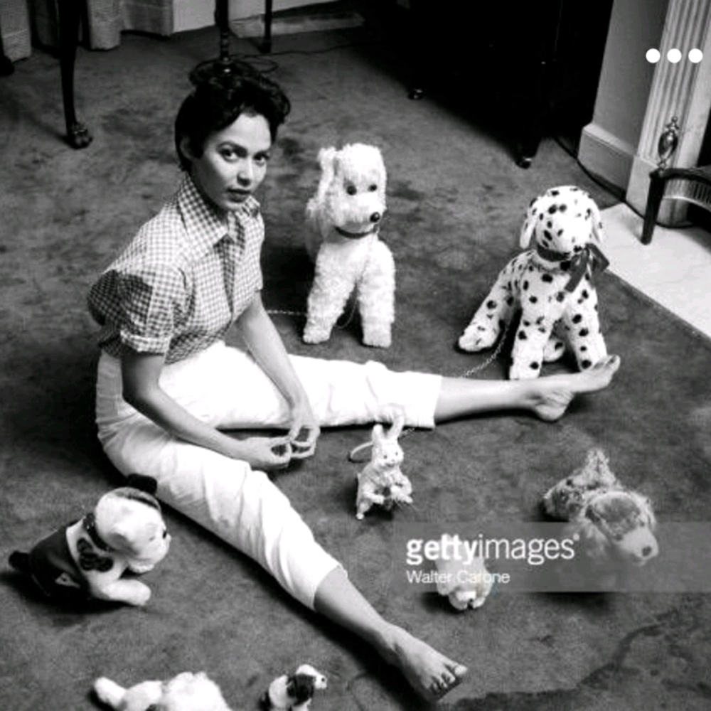 ✓Vintage Faded Glory Capri✓